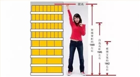 陈列高度效果图